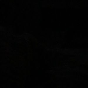 Meet your Posher, Annick